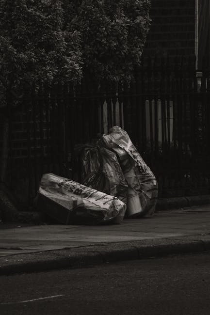 A large open green waste collection bin filled with an assortment of cardboard boxes, some flattened and others still in their original shape, alongside wooden pallets leaning against the side. The ca
